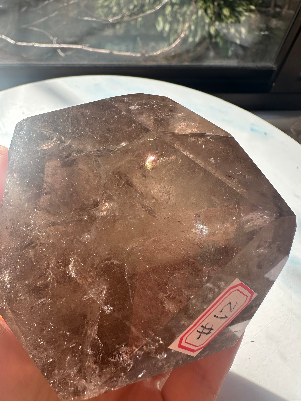 Brazilian Smoky Quartz Freeform with Deep Smoky Colour | 910g 9.4cm Exact Piece #12