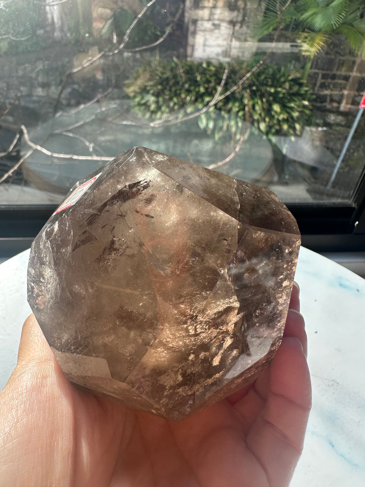 Brazilian Smoky Quartz Freeform with Deep Smoky Colour | 910g 9.4cm Exact Piece #12
