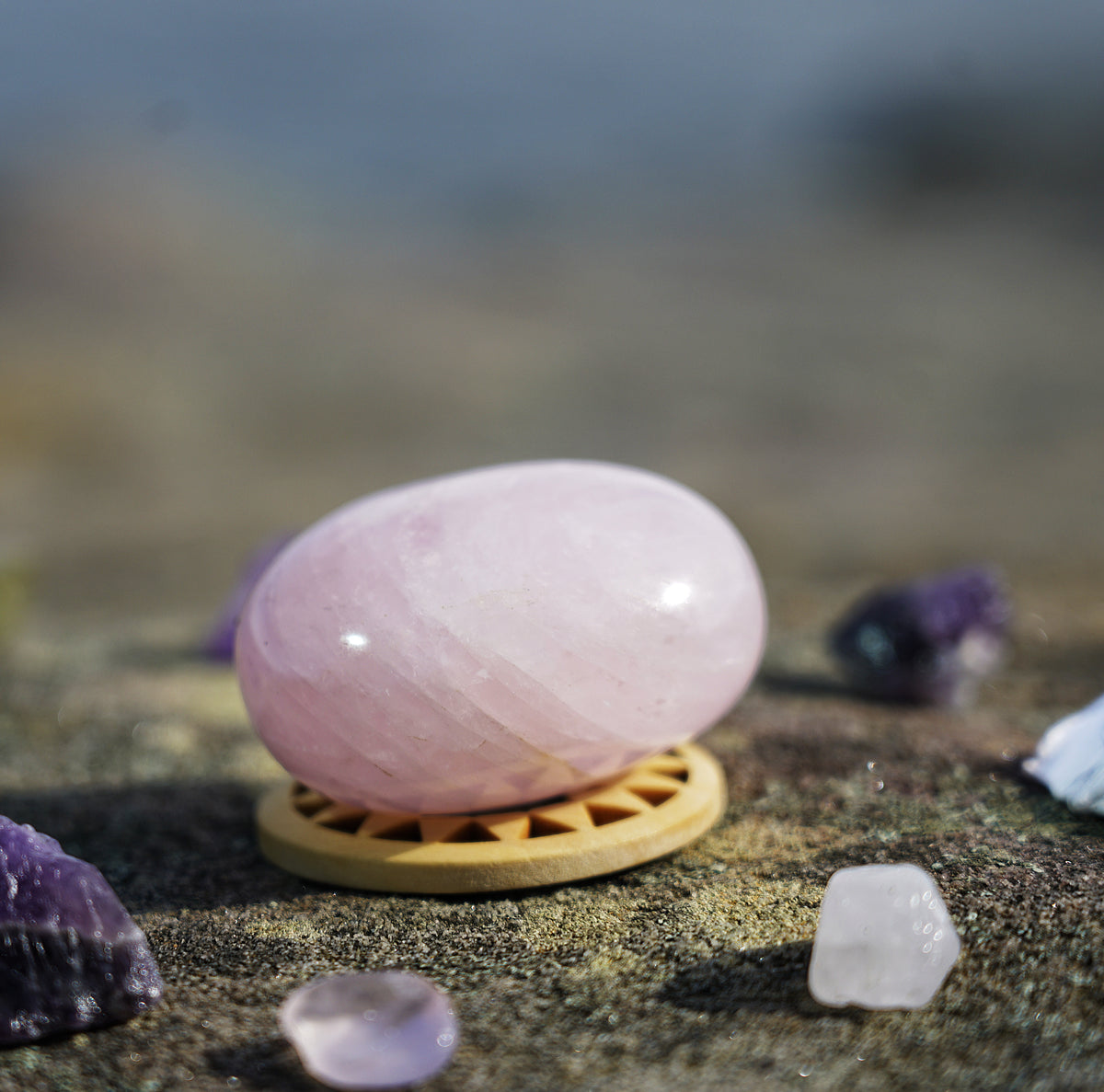 Rose Quartz Palm Stone | Natural Polished Crystal