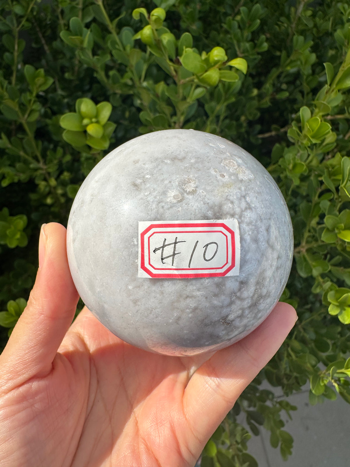 Flower Agate Sphere with Blossom Inclusions | Exact Piece #10