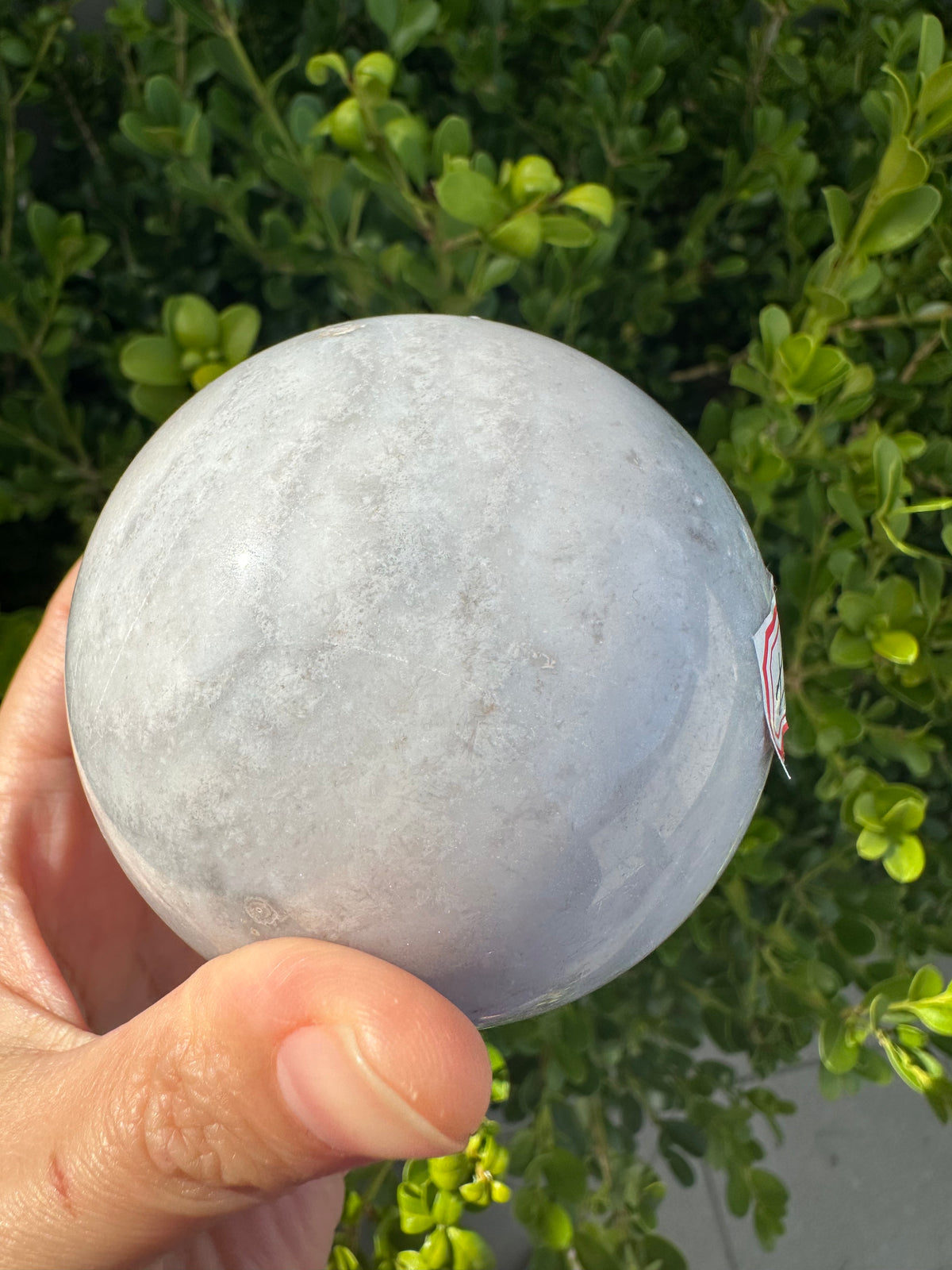 Flower Agate Sphere with Blossom Inclusions | Exact Piece #10