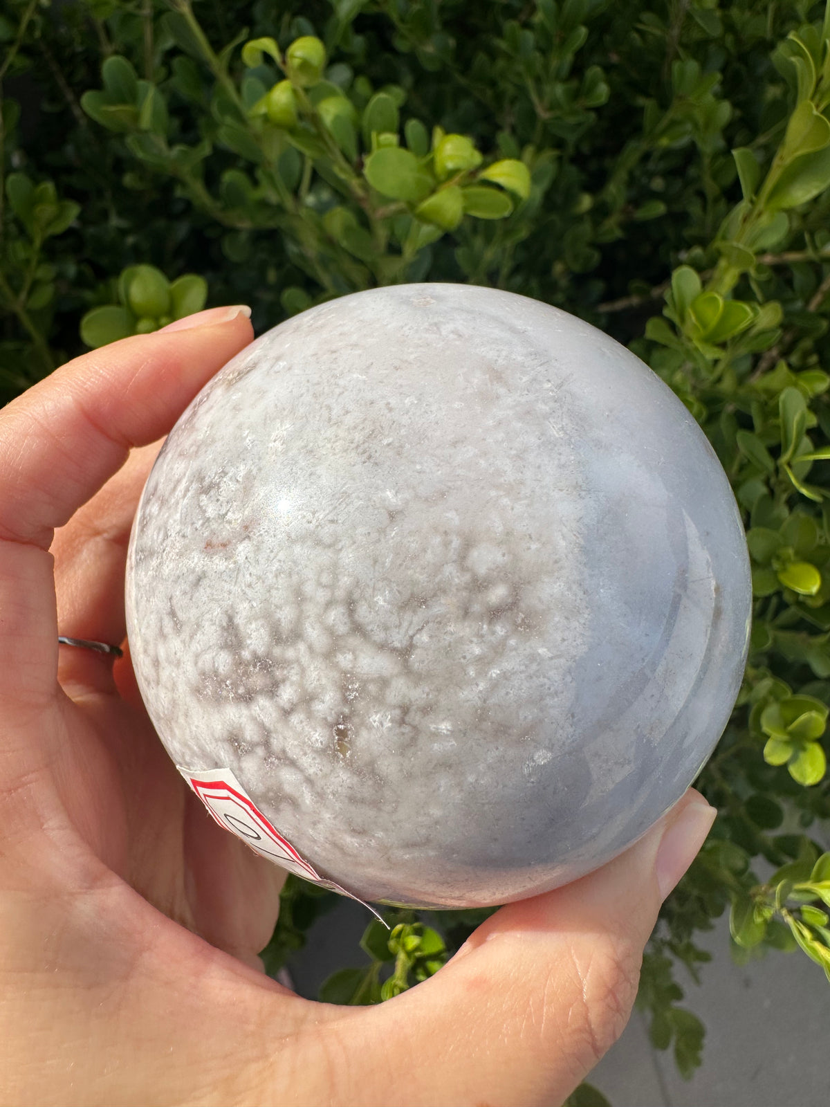 Flower Agate Sphere with Blossom Inclusions | Exact Piece #10