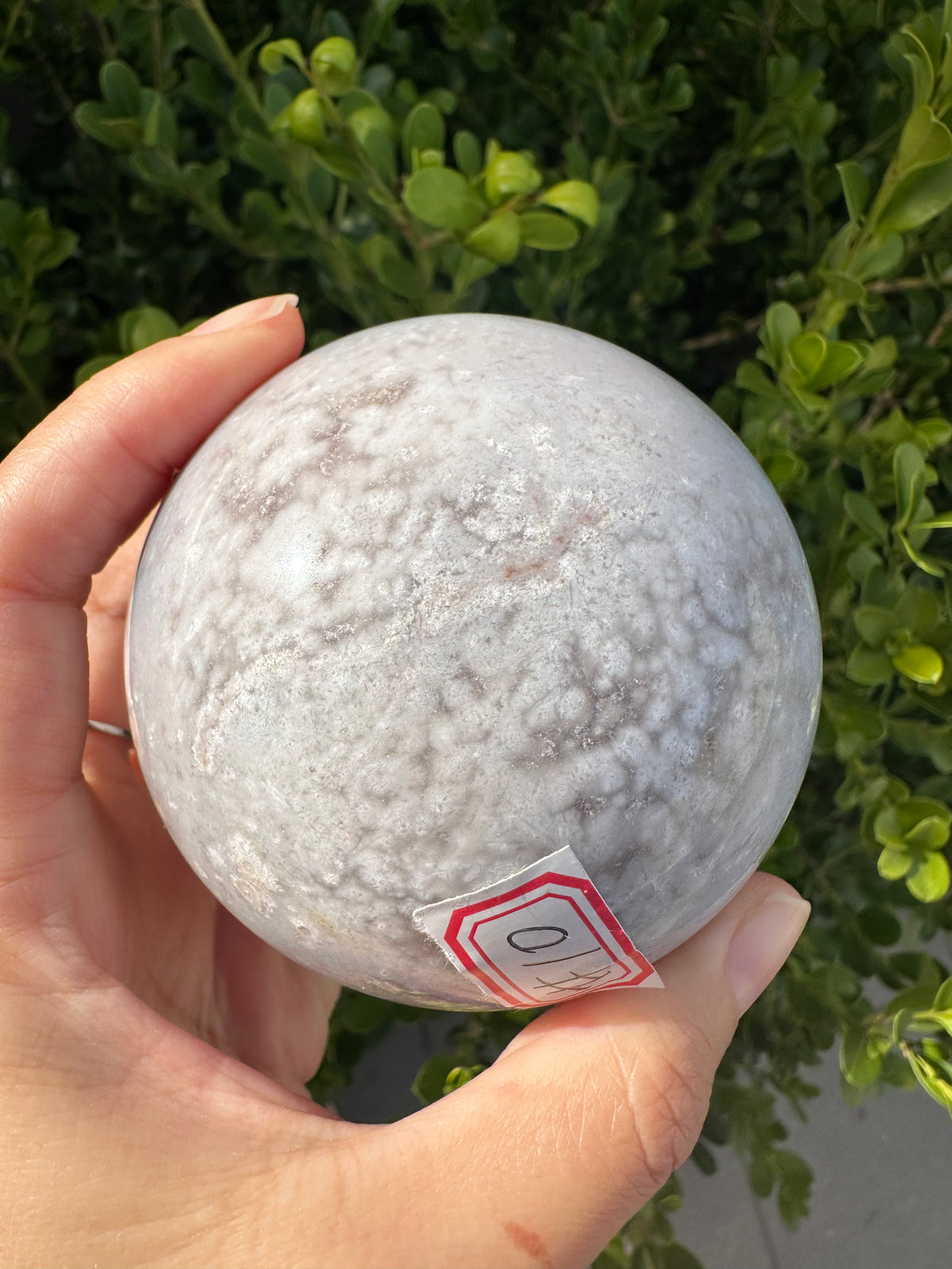 Flower Agate Sphere with Blossom Inclusions | Exact Piece #10