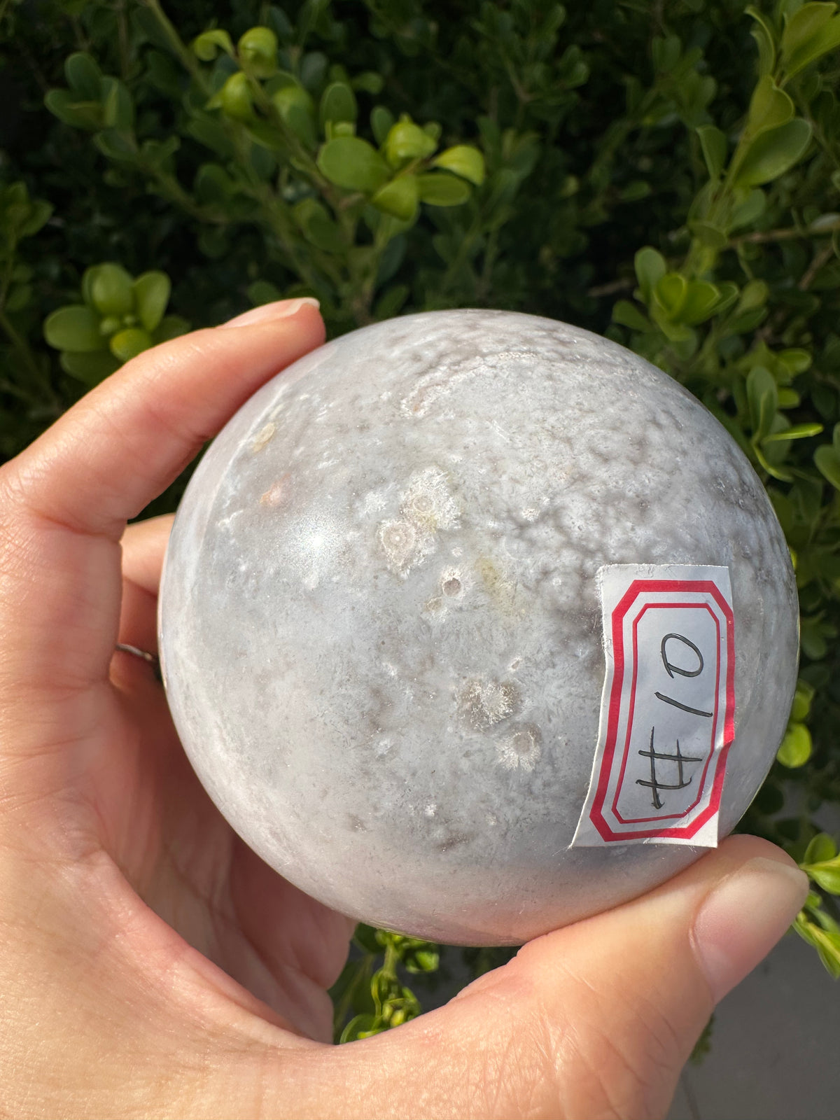 Flower Agate Sphere with Blossom Inclusions | Exact Piece #10
