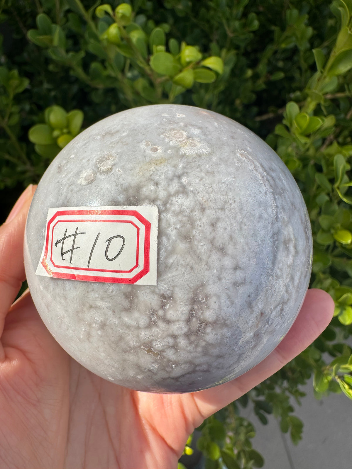 Flower Agate Sphere with Blossom Inclusions | Exact Piece #10