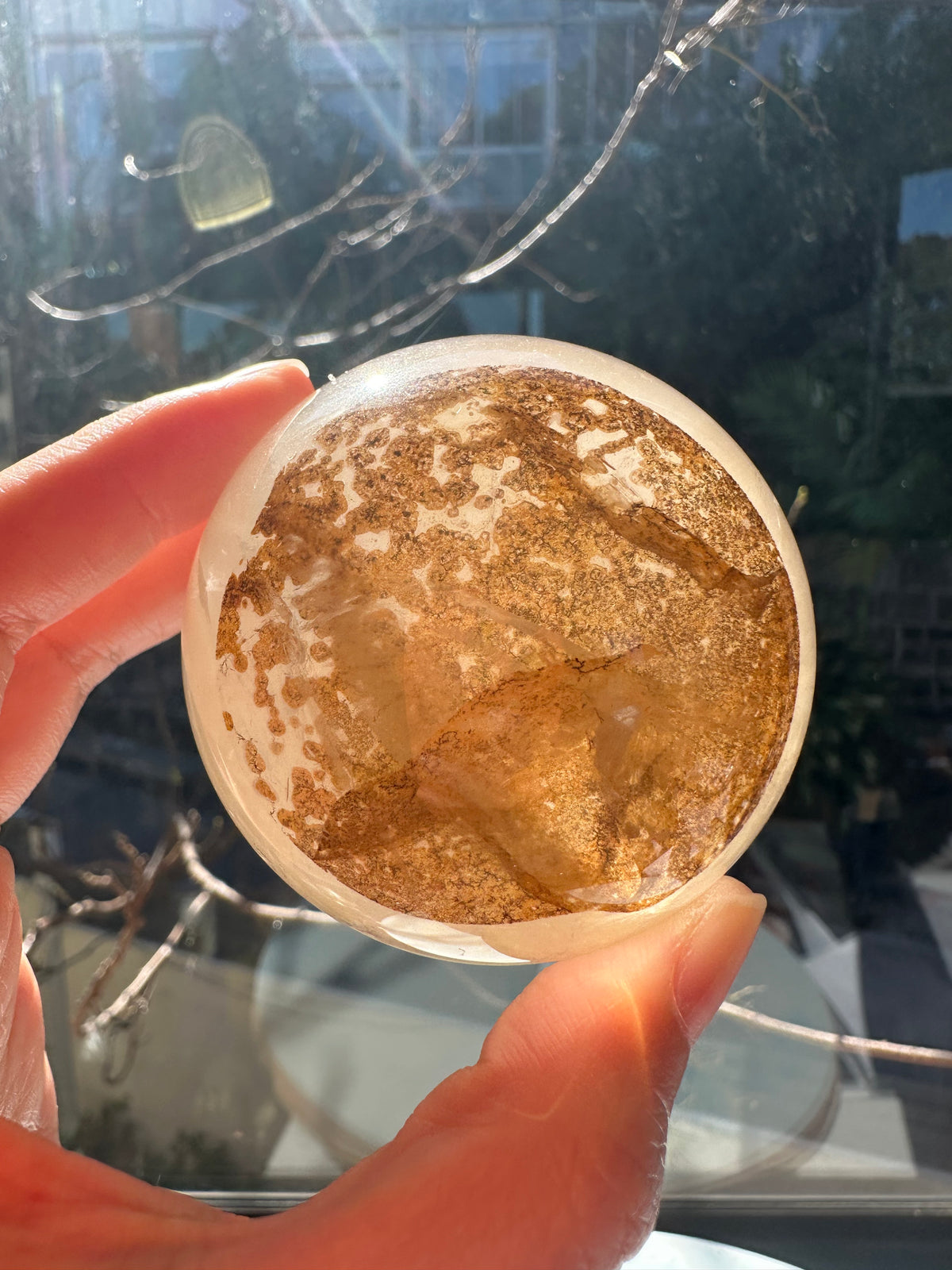 Clear Quartz Sphere with Tree-Like Inclusions | 316g 6cm Exact Piece