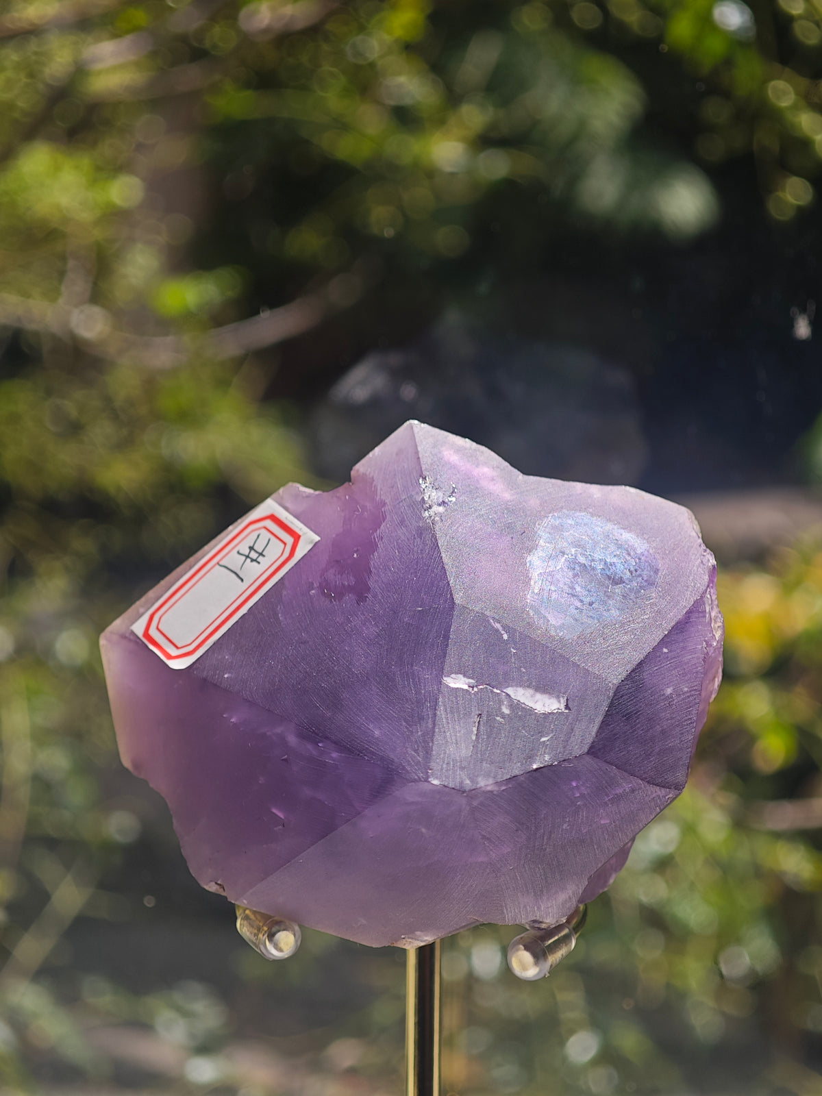 Brazilian Raw Amethyst Point with Purple Crystal Faces, 457g 10.3cm Exact Piece #1 – alternate view 8