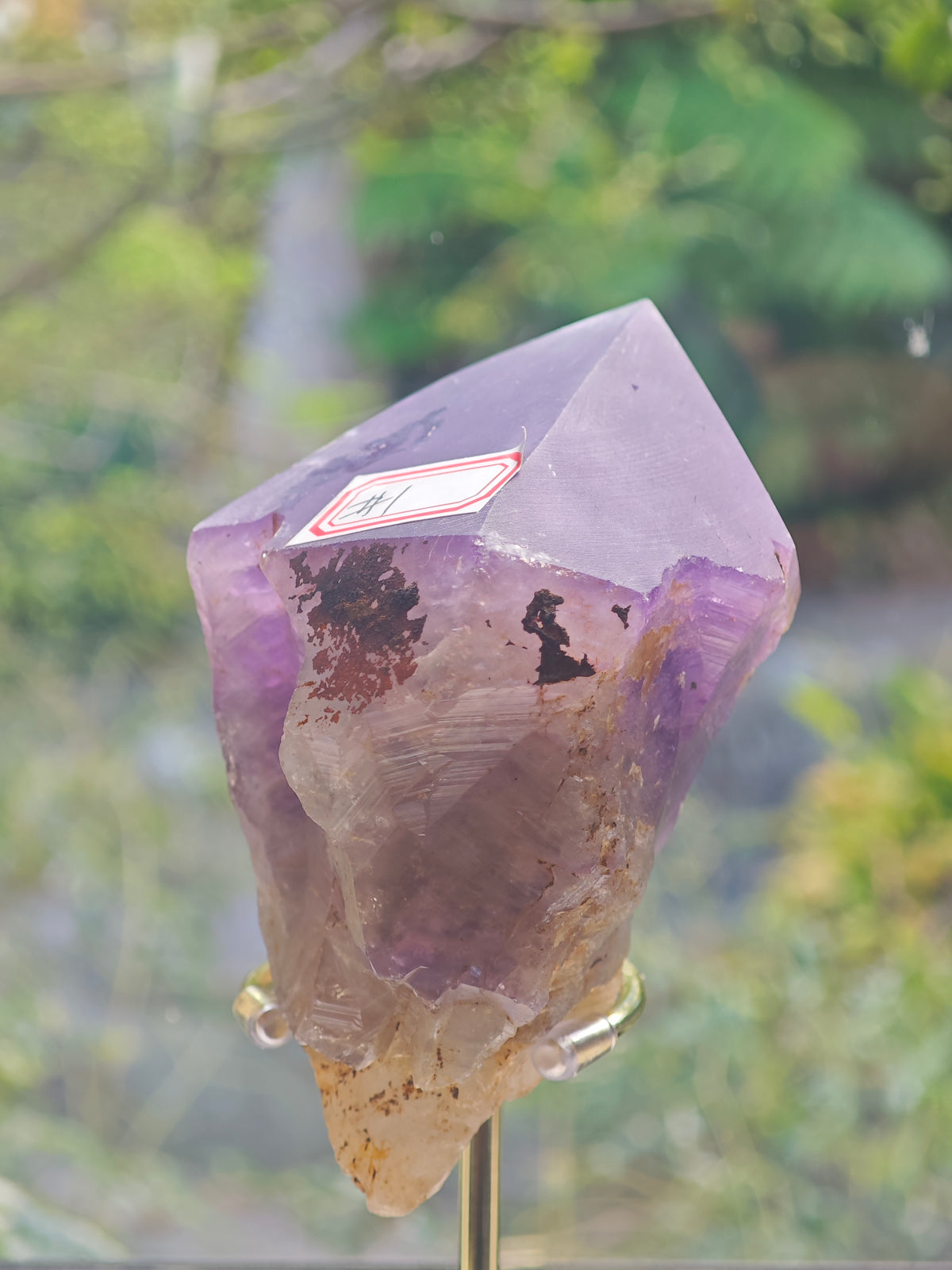 Brazilian Raw Amethyst Point with Purple Crystal Faces, 457g 10.3cm Exact Piece #1 – alternate view 3