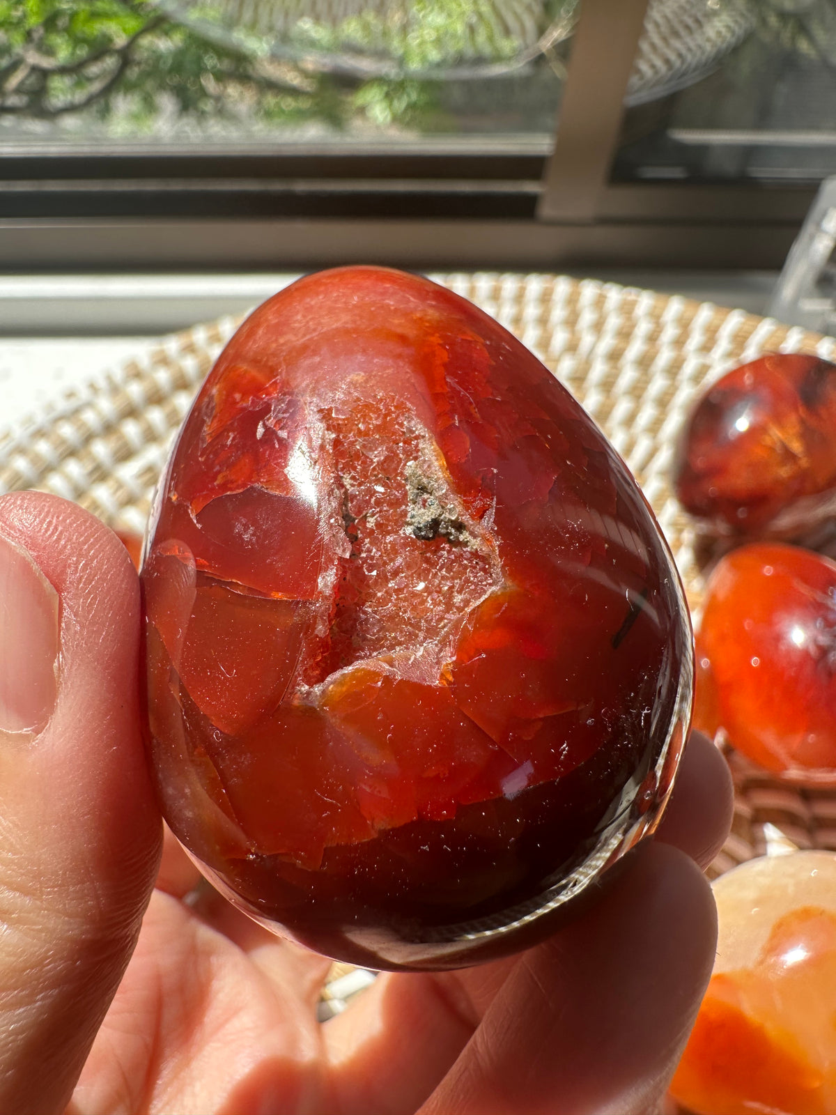 Carnelian Egg | Natural Polished Stone 50–300g