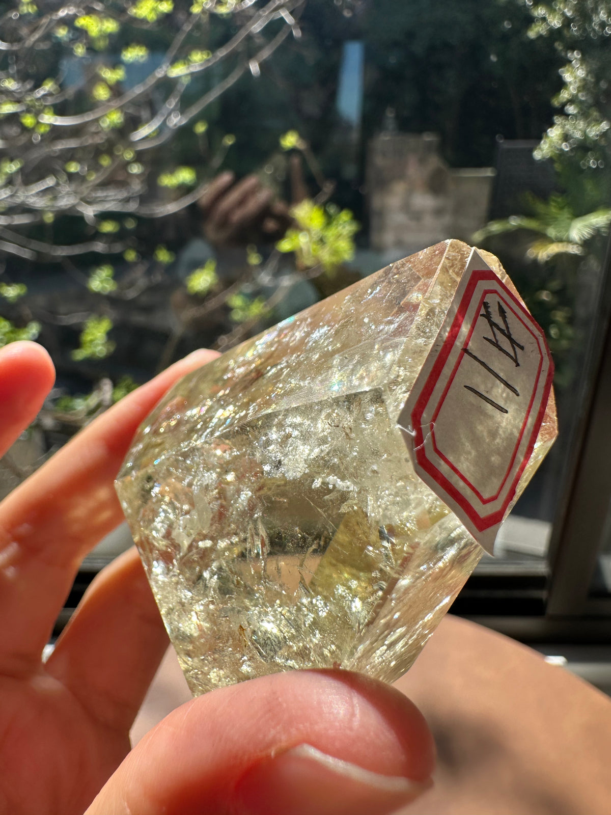 Brazilian Citrine Freeform with Rainbow, Exact Piece #11 – alternate angle
