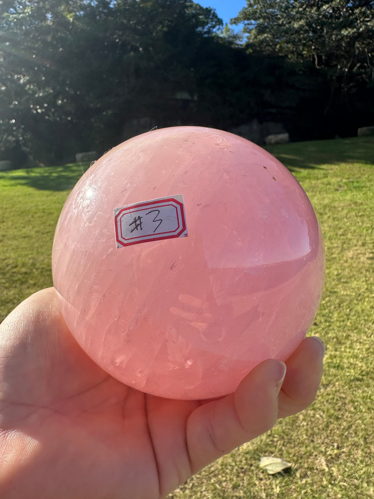 Extra Large Rose Quartz Sphere – 2.35kg #3 — exact crystal, view 10 of 10
