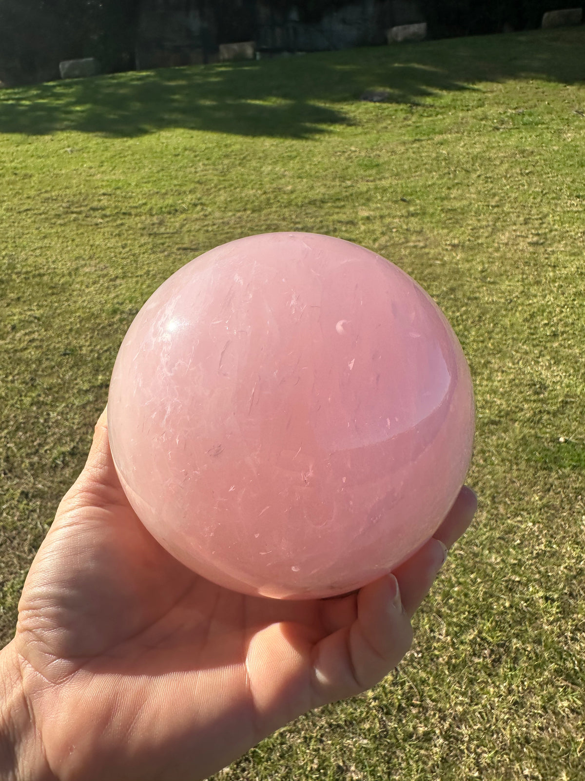 Extra Large Rose Quartz Sphere – 2.35kg #3 — exact crystal, view 3 of 10