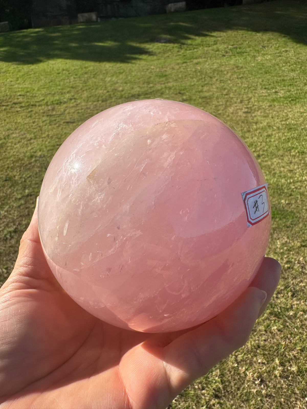 Extra Large Rose Quartz Sphere – 2.35kg #3 — exact crystal, view 9 of 10