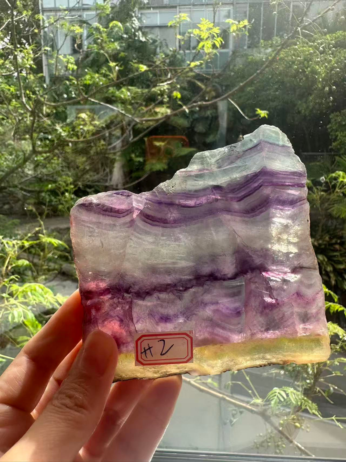 Rainbow Fluorite Slab with Purple-Green Banding | 214g 11.6cm Exact Piece #2