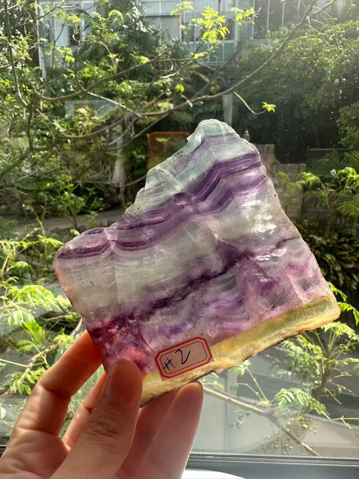Rainbow Fluorite Slab with Purple-Green Banding | 214g 11.6cm Exact Piece #2