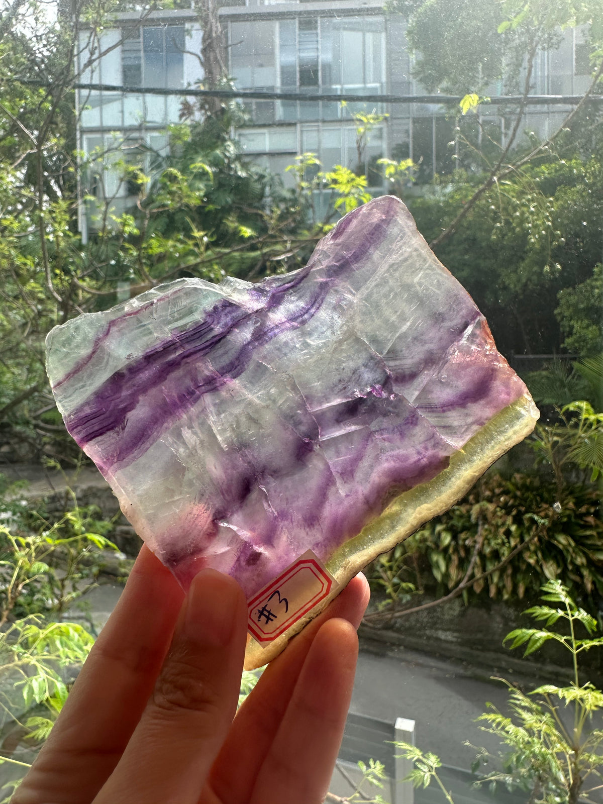 Rainbow Fluorite Slab with Purple-Green Banding | 174g 9.5cm Exact Piece #3