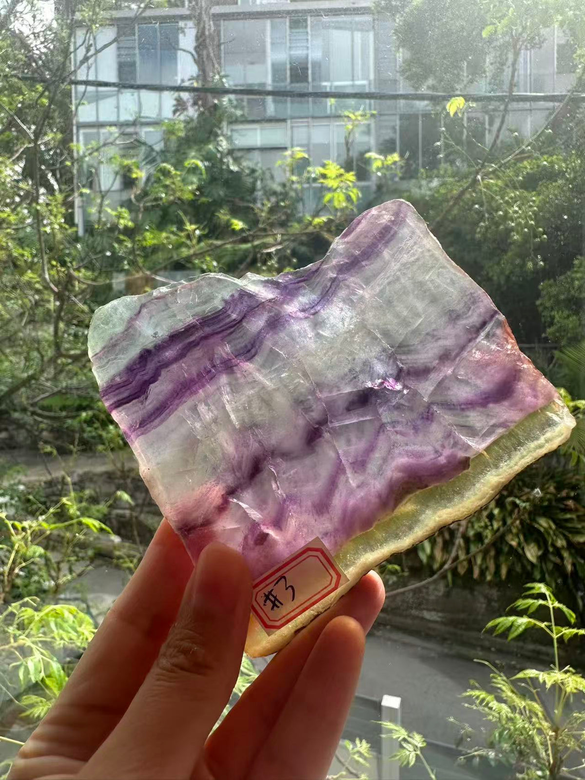 Rainbow Fluorite Slab with Purple-Green Banding | 174g 9.5cm Exact Piece #3