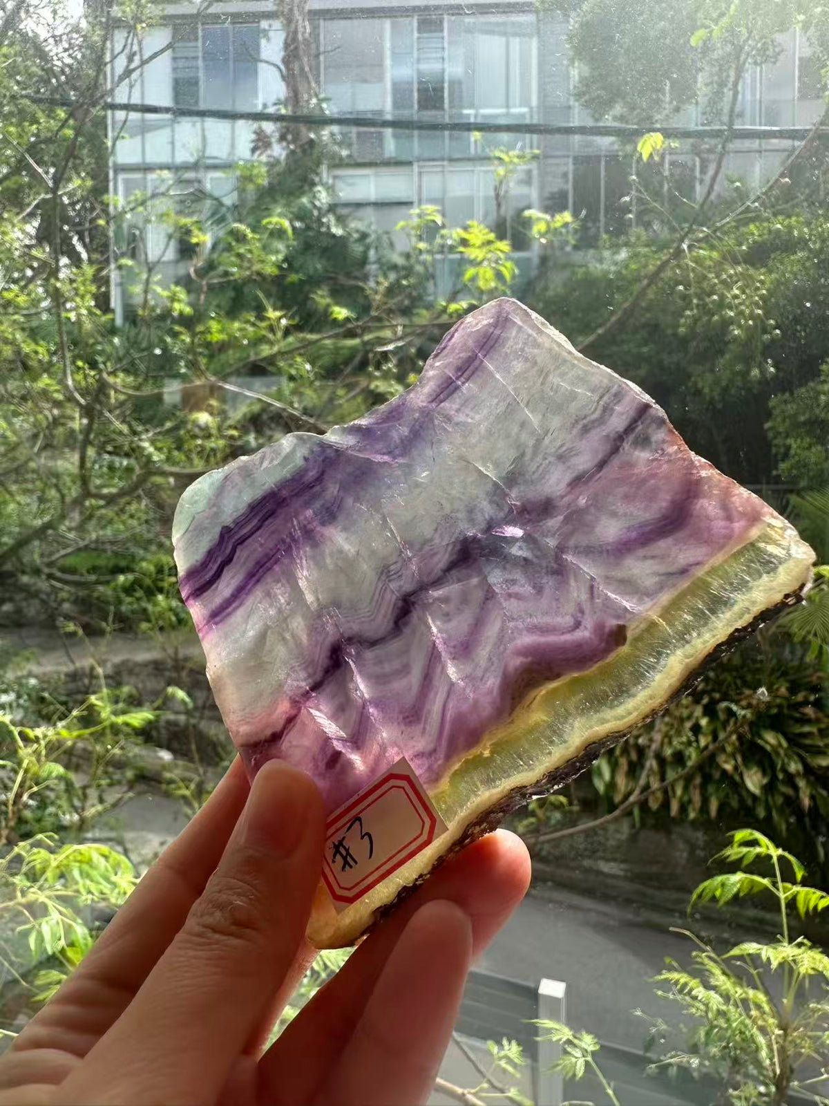 Rainbow Fluorite Slab with Purple-Green Banding | 174g 9.5cm Exact Piece #3