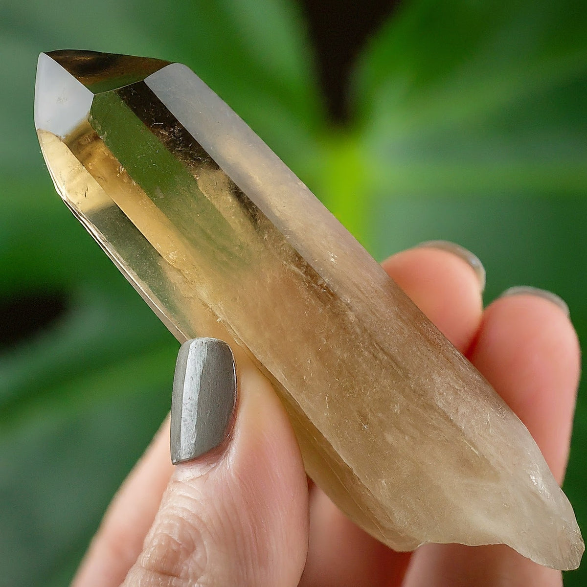 Smoky Citrine Lemurian Quartz Point – top view
