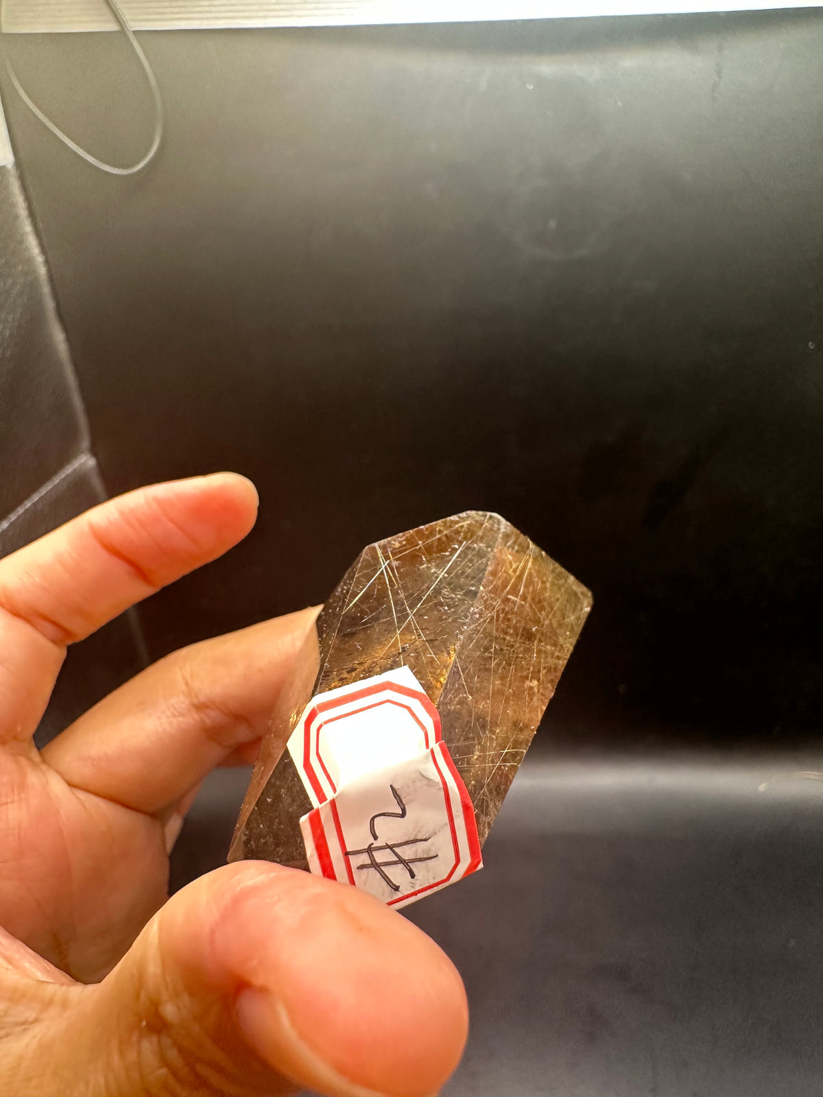 Golden Rutilated Quartz Freeform with Fine Rutile Needles | 64g 5.4cm Exact Piece #2