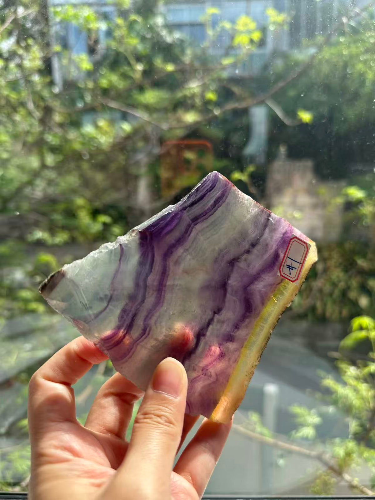 Rainbow Fluorite Slab with Purple-Green Banding | 233g 10.8cm Exact Piece #1