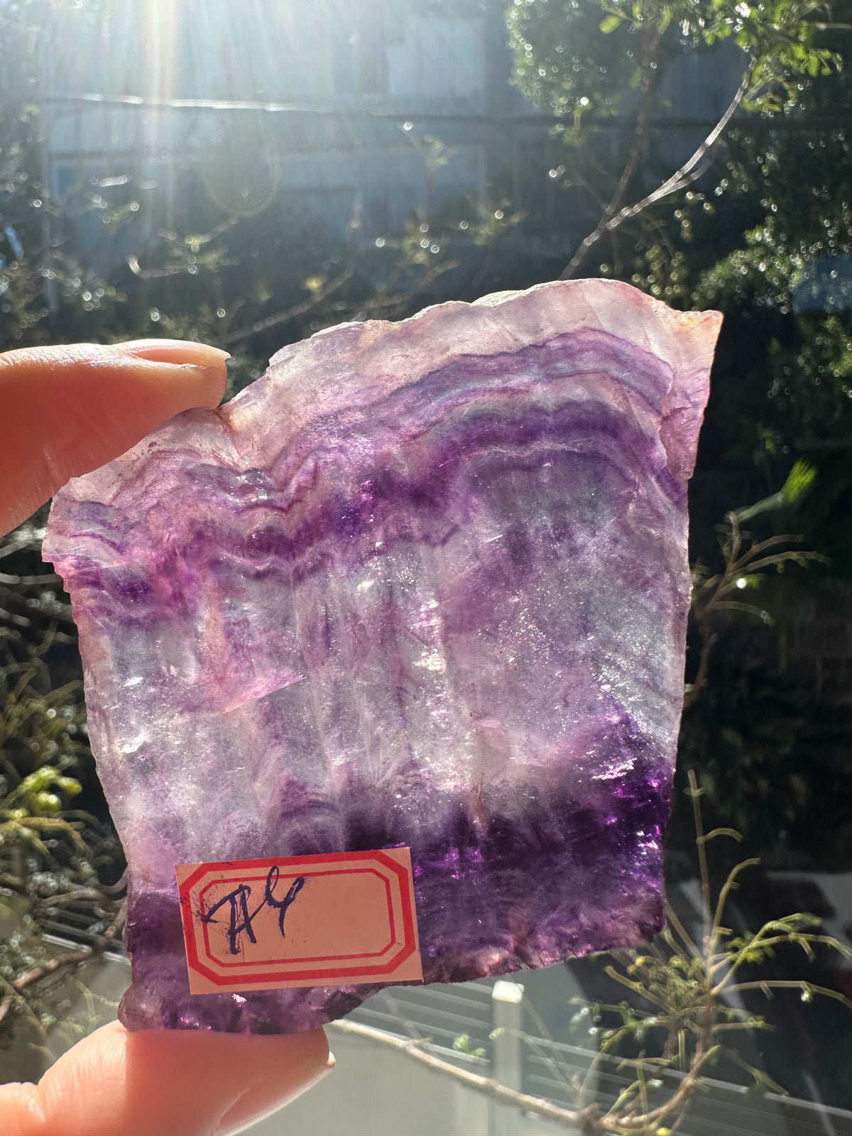 Purple Fluorite Slab with Violet Banding | 90g 6.6cm Exact Piece #4