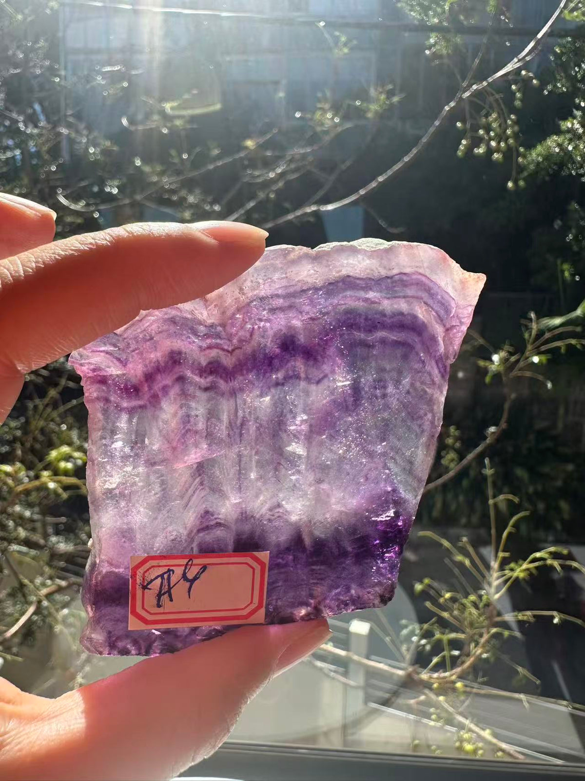 Purple Fluorite Slab with Violet Banding | 90g 6.6cm Exact Piece #4