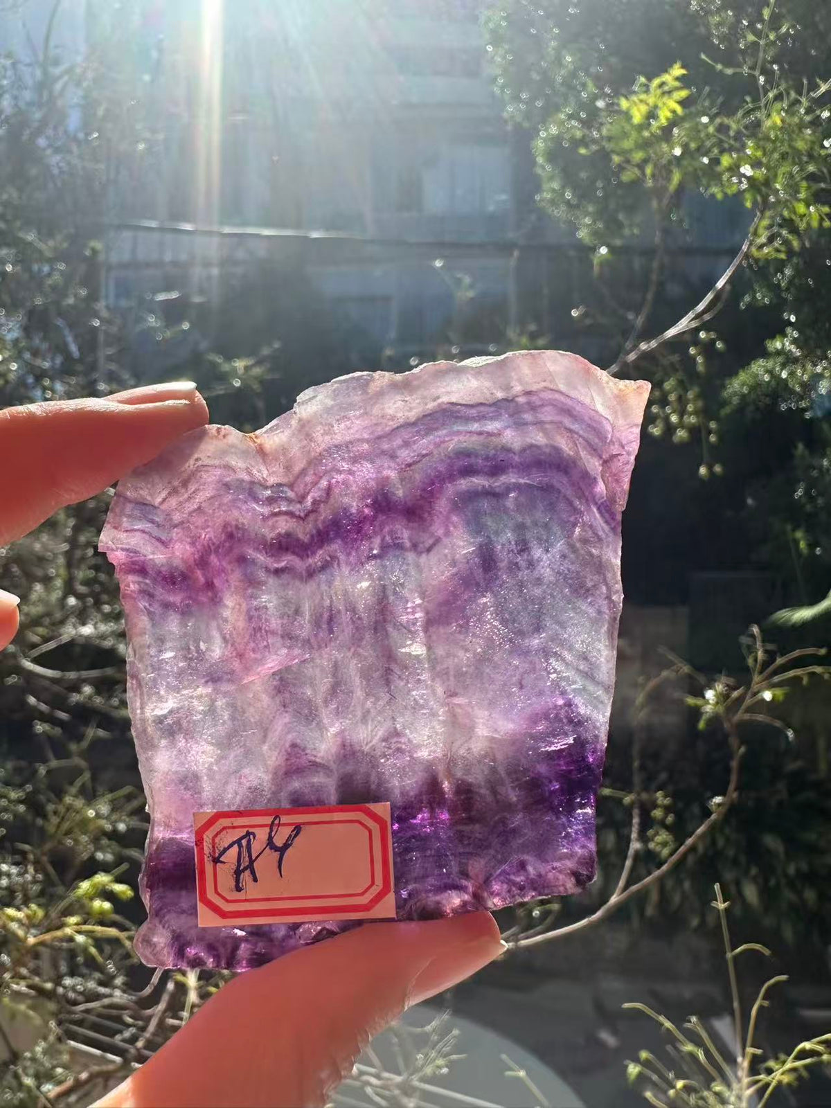Purple Fluorite Slab with Violet Banding | 90g 6.6cm Exact Piece #4