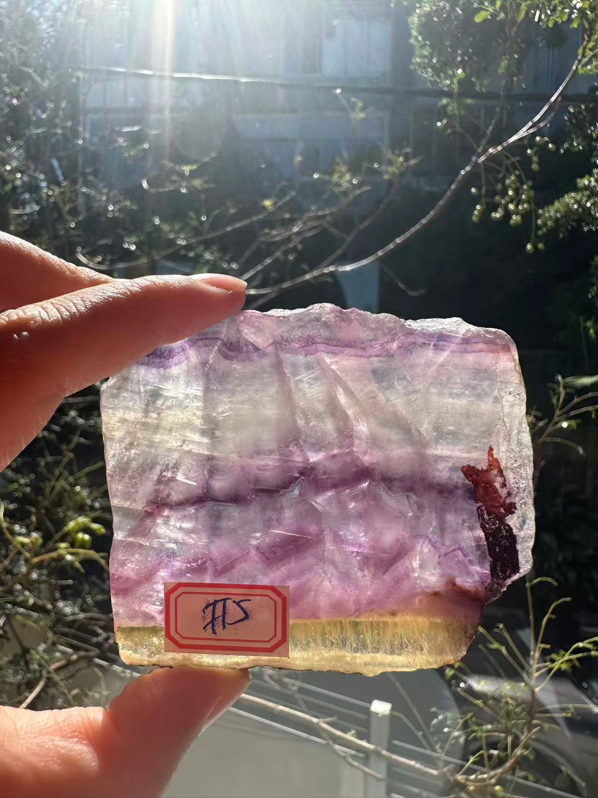 Rainbow Fluorite Slab with Purple-Green Banding | 114g 9.7cm Exact Piece #5