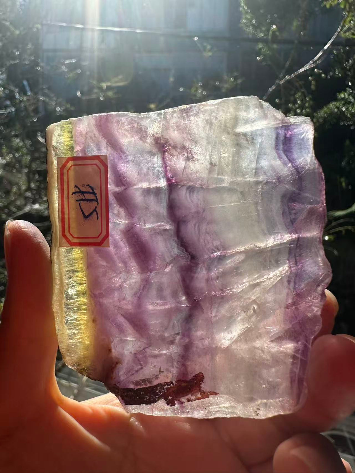 Rainbow Fluorite Slab with Purple-Green Banding | 114g 9.7cm Exact Piece #5