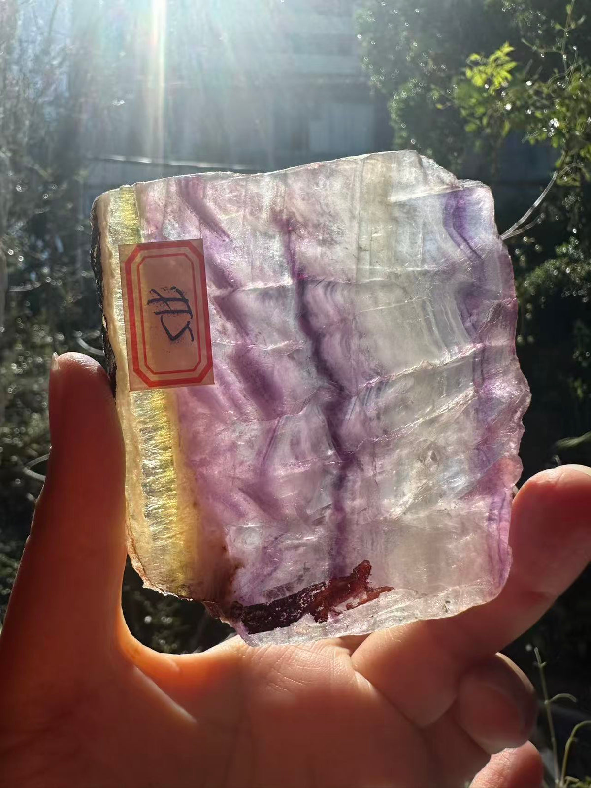 Rainbow Fluorite Slab with Purple-Green Banding | 114g 9.7cm Exact Piece #5