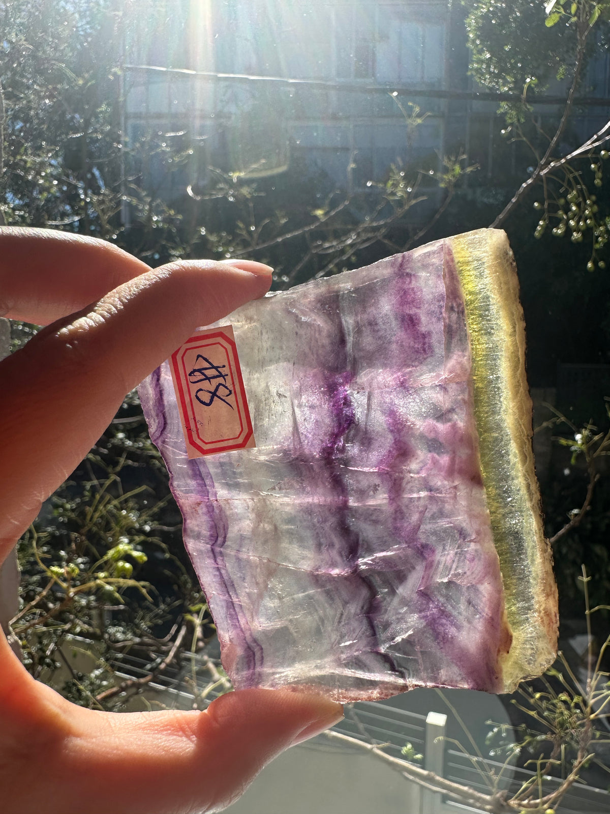 Rainbow Fluorite Slab with Purple-Green Banding | 156g 8.3cm Exact Piece #8