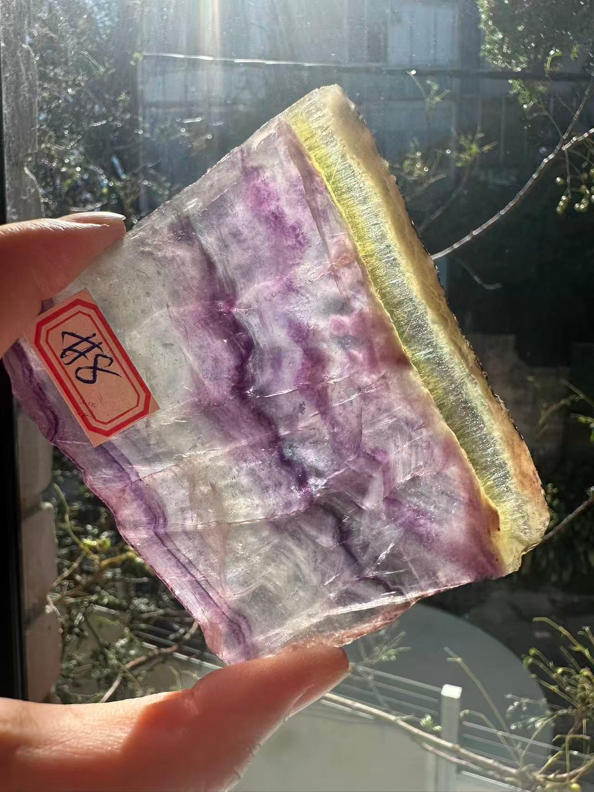 Rainbow Fluorite Slab with Purple-Green Banding | 156g 8.3cm Exact Piece #8