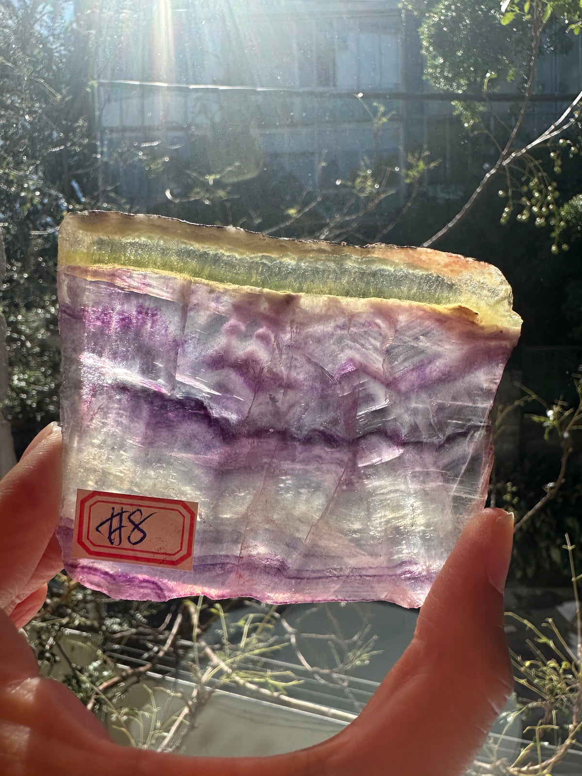 Rainbow Fluorite Slab with Purple-Green Banding | 156g 8.3cm Exact Piece #8