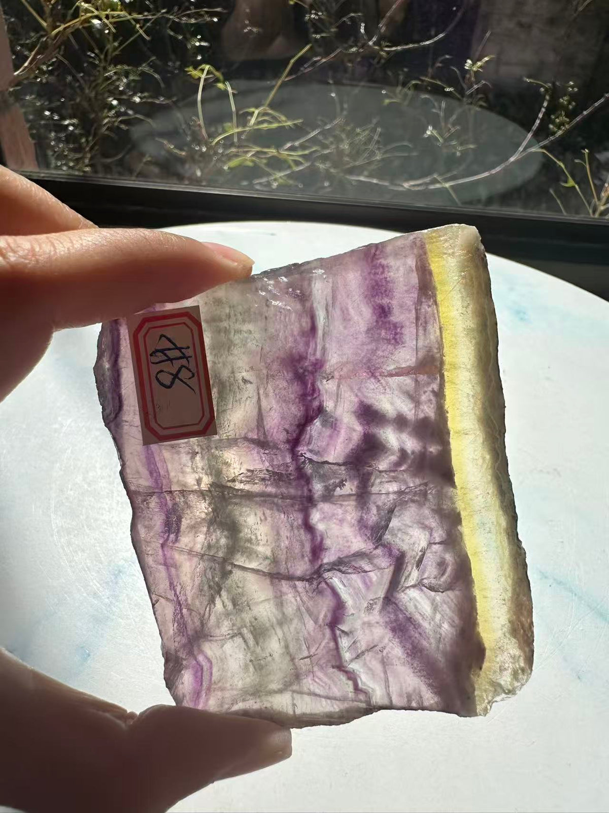 Rainbow Fluorite Slab with Purple-Green Banding | 156g 8.3cm Exact Piece #8