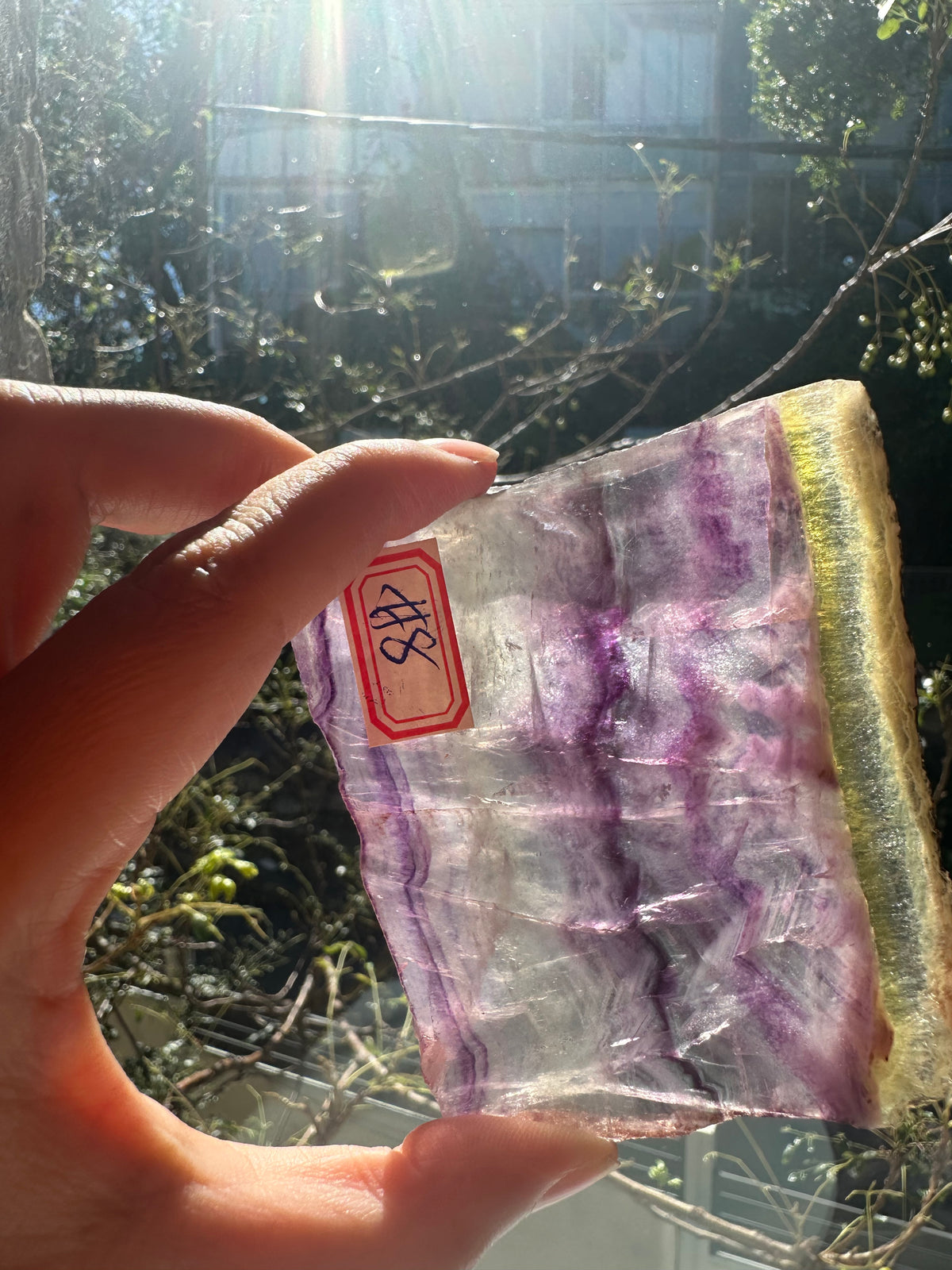 Rainbow Fluorite Slab with Purple-Green Banding | 156g 8.3cm Exact Piece #8