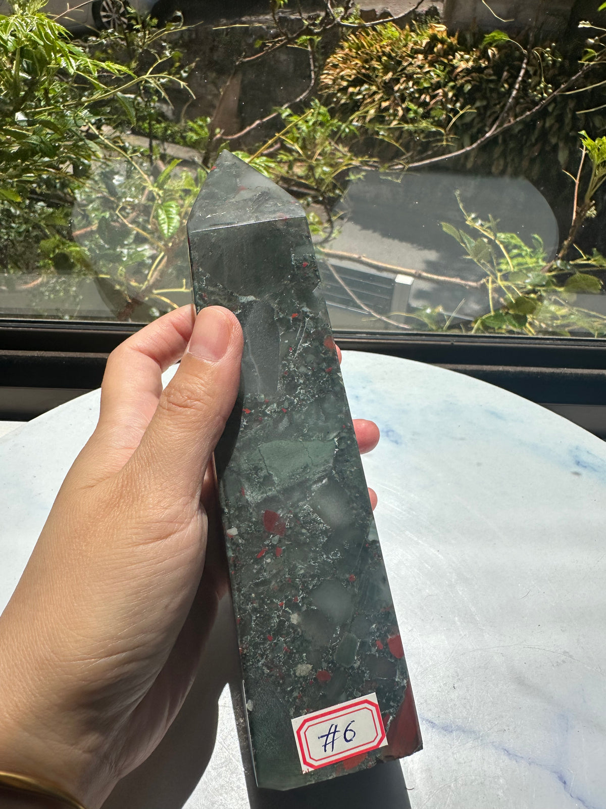 African Bloodstone Tower with Red-Brown Markings | 698g 20cm Exact Piece #6