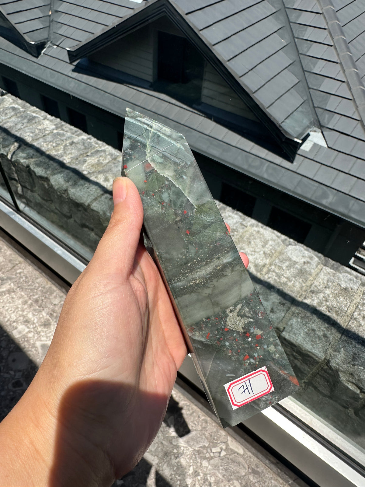 African Bloodstone Tower with Red-Brown Markings | 493g 17cm Exact Piece #1