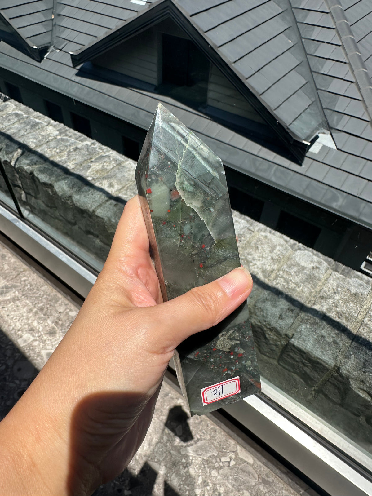 African Bloodstone Tower with Red-Brown Markings | 493g 17cm Exact Piece #1