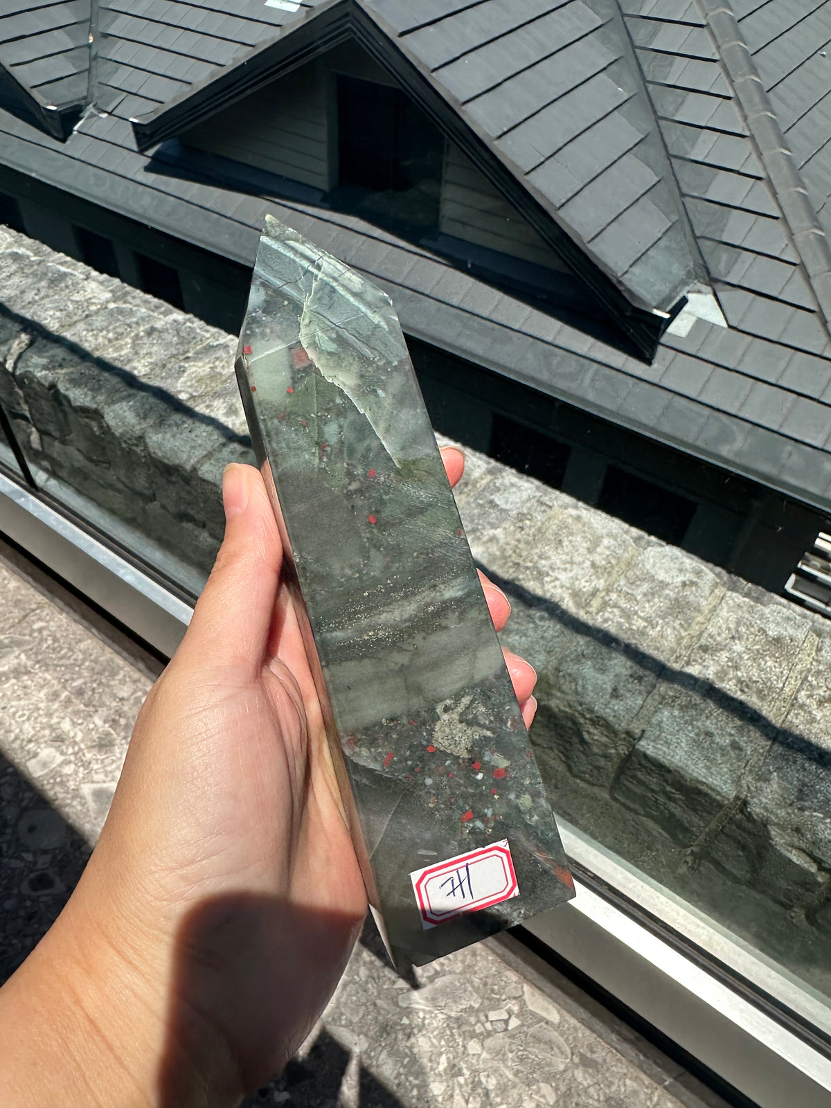 African Bloodstone Tower with Red-Brown Markings | 493g 17cm Exact Piece #1