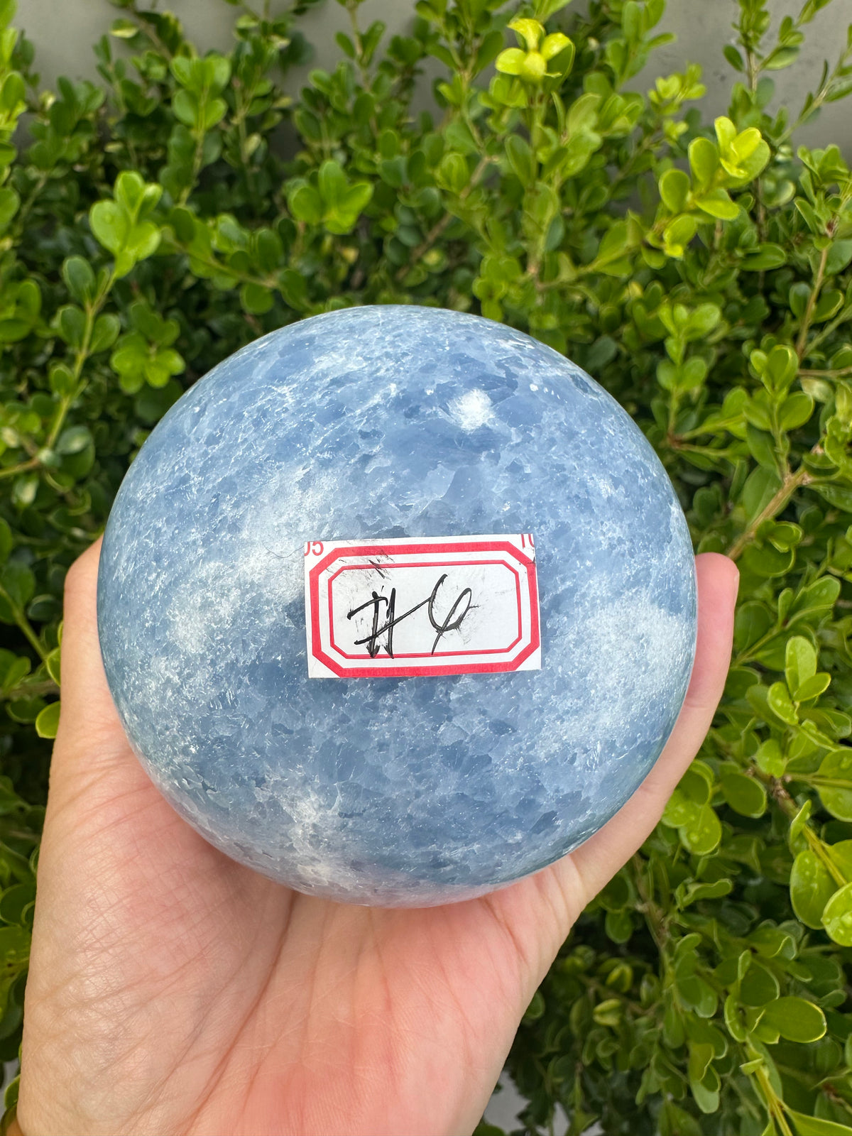 Blue Calcite Sphere with Cloudy Blue Pattern | 848g 8.3cm Exact Piece #5