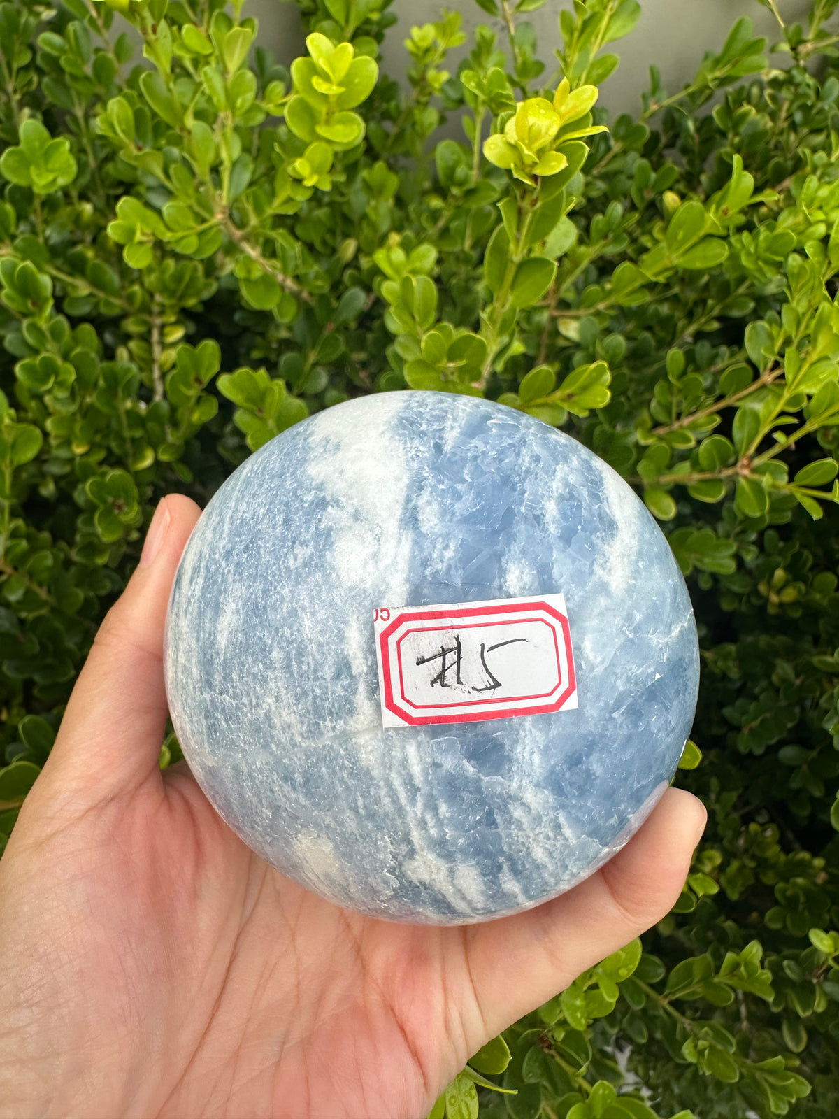 Blue Calcite Sphere with Cloudy Blue Pattern | 848g 8.3cm Exact Piece #5