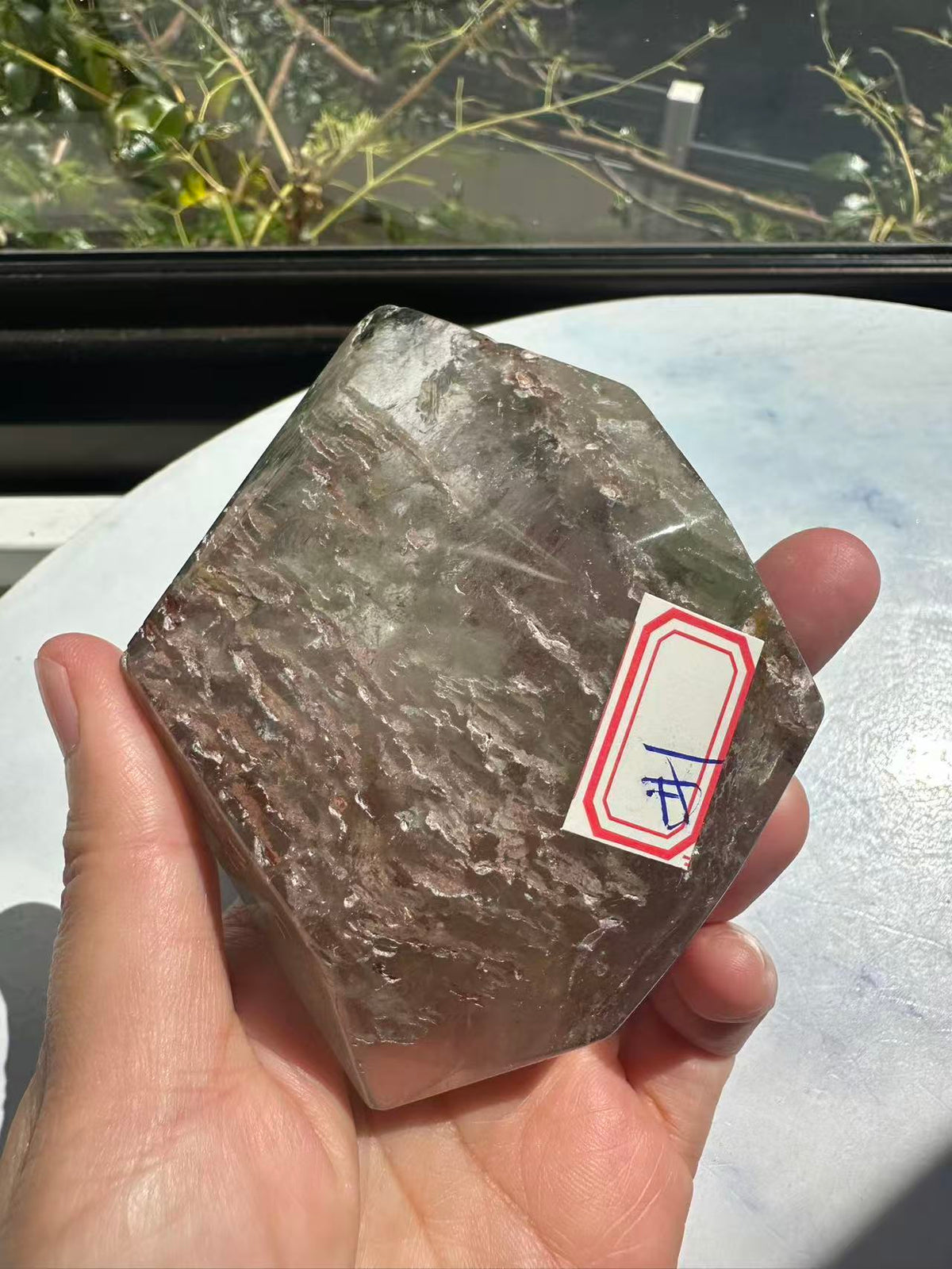 Garden Quartz (Lodolite) Freeform – 314g #1 — exact crystal, view 17 of 28