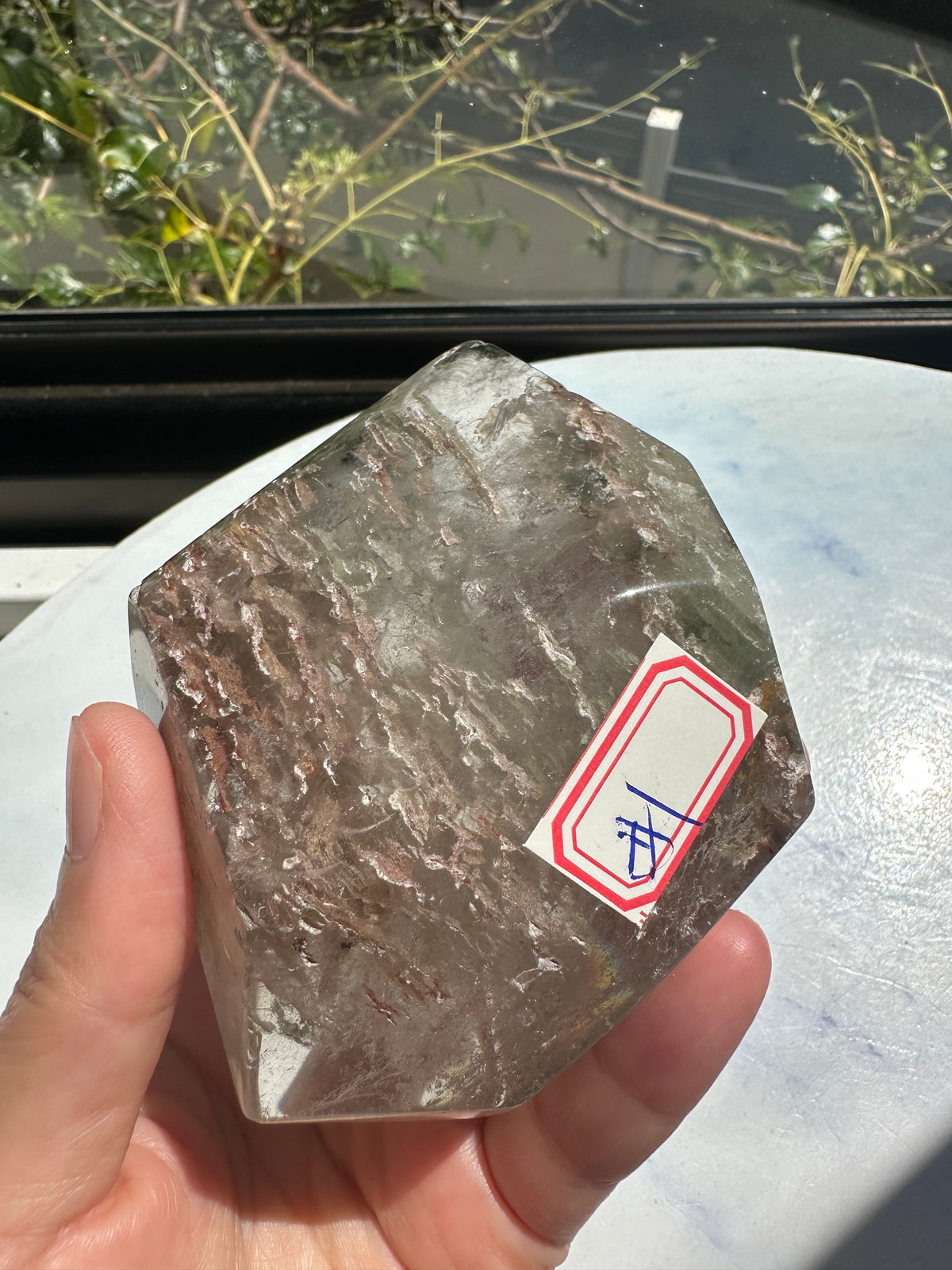 Garden Quartz (Lodolite) Freeform – 314g #1 — exact crystal, view 2 of 28