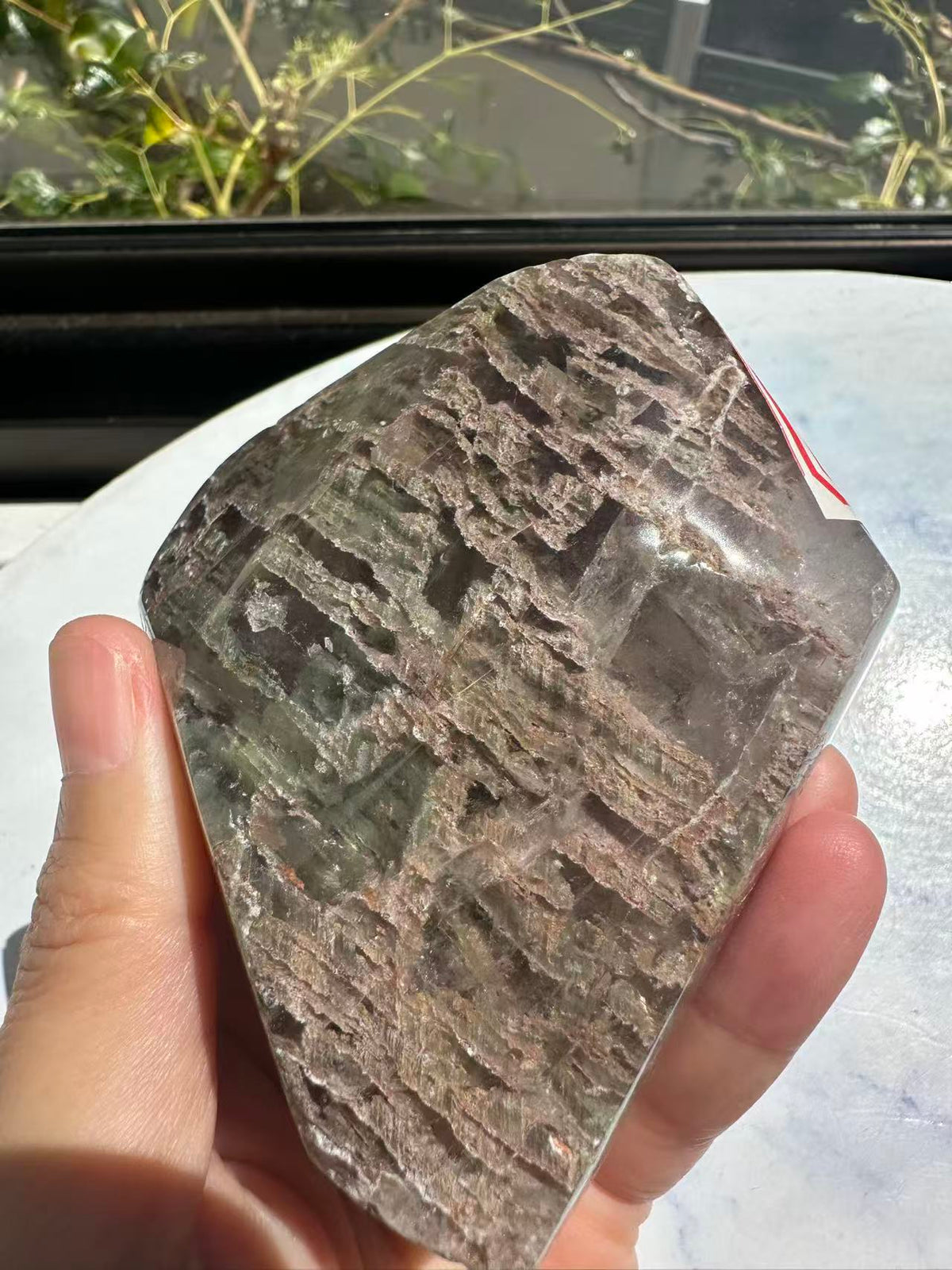 Garden Quartz (Lodolite) Freeform – 314g #1 — exact crystal, view 23 of 28