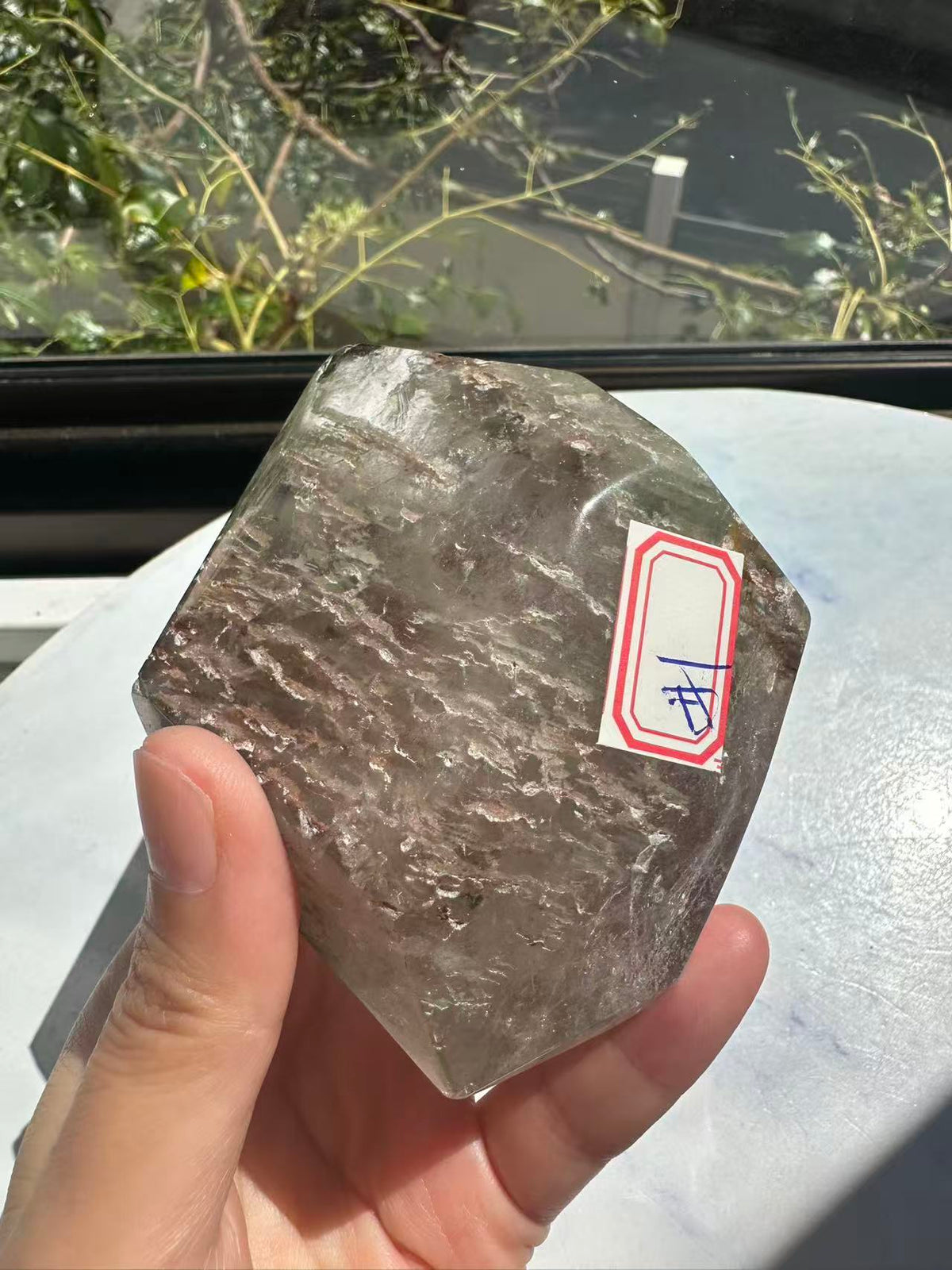 Garden Quartz (Lodolite) Freeform – 314g #1 — exact crystal, view 6 of 28