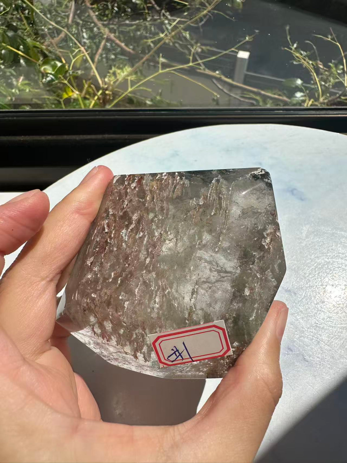 Garden Quartz (Lodolite) Freeform – 314g #1 — exact crystal, view 9 of 28
