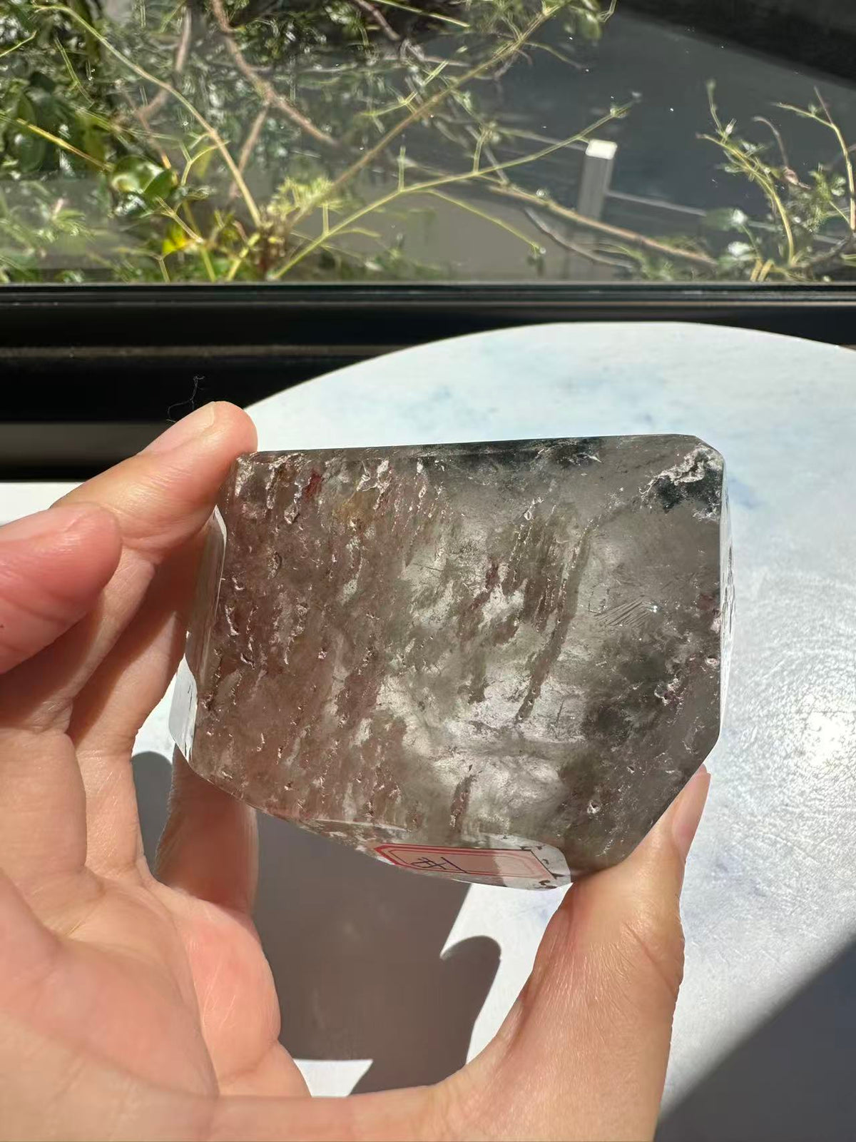 Garden Quartz (Lodolite) Freeform – 314g #1 — exact crystal, view 10 of 28