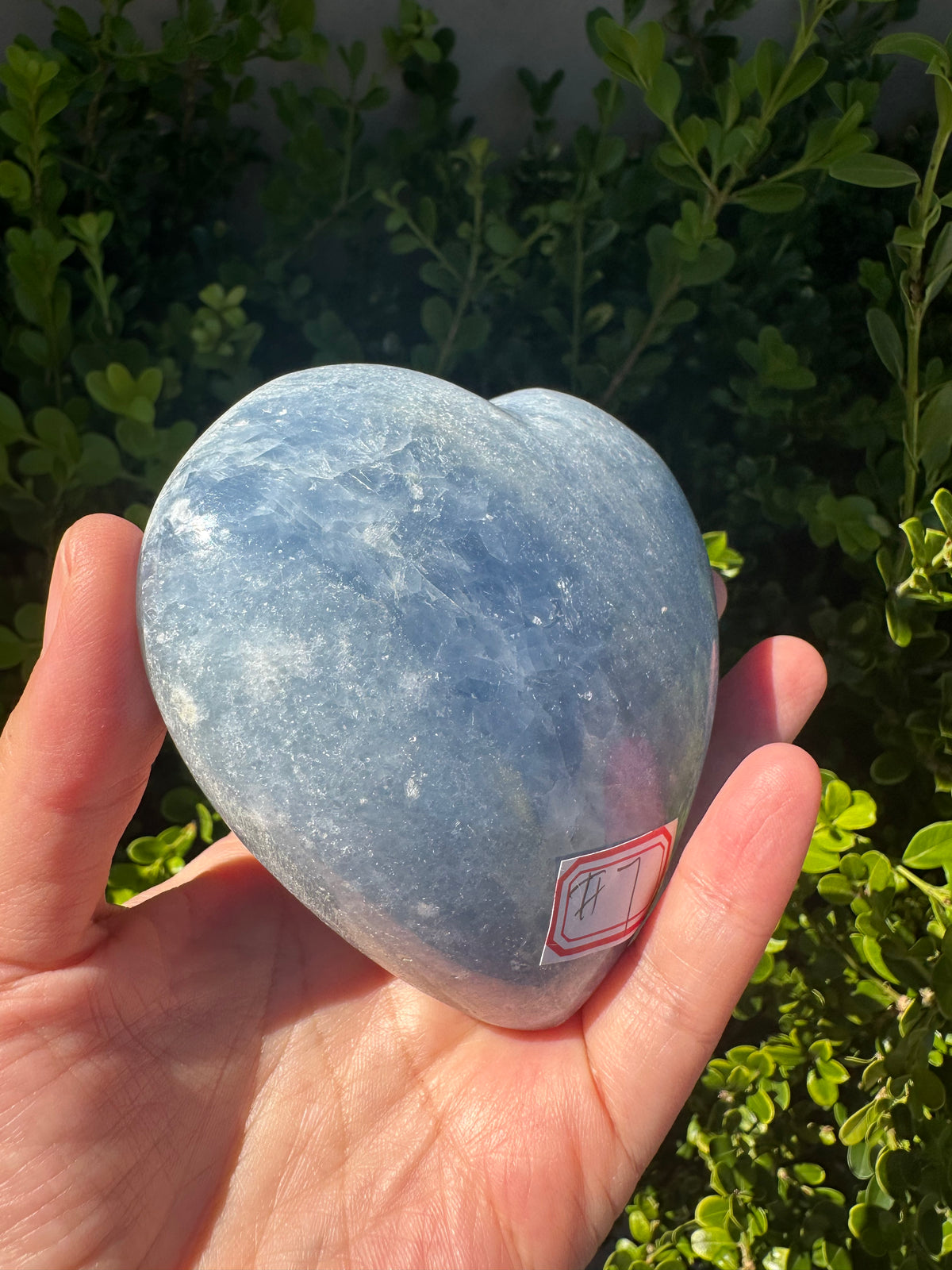 Blue Calcite Heart with Cloudy Blue Pattern | 465g 9.8cm Exact Piece #7