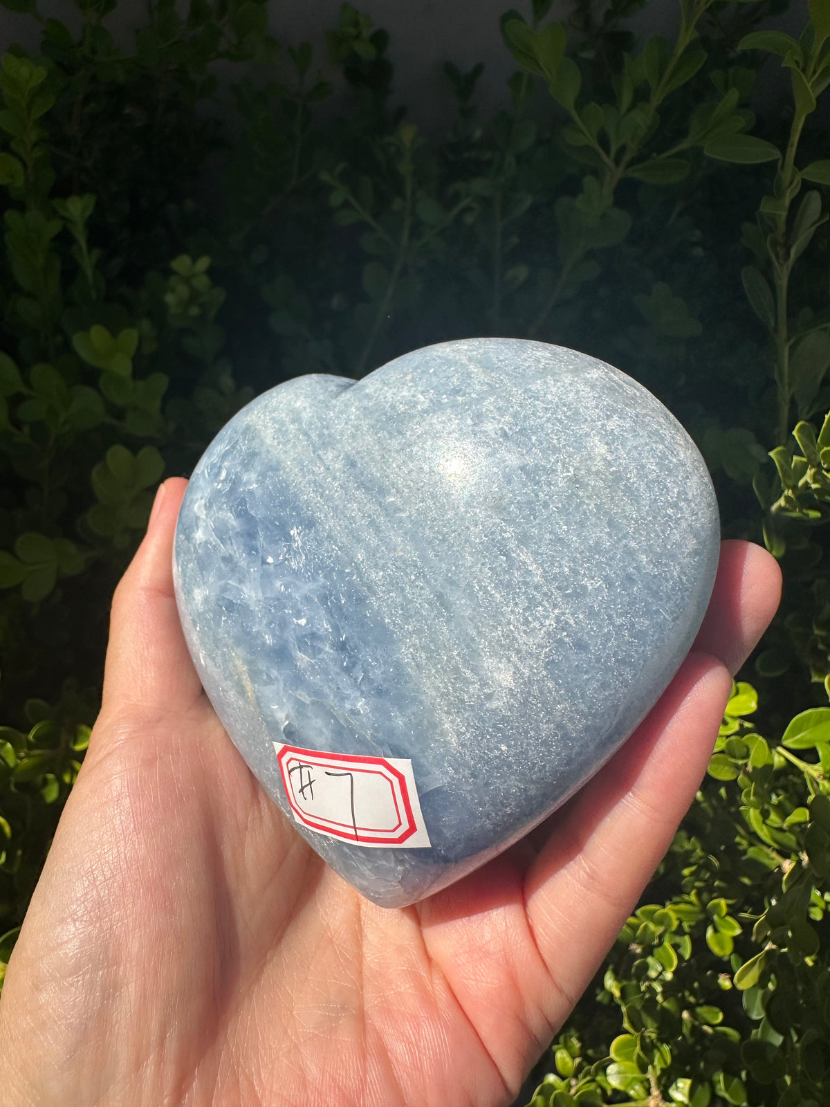 Blue Calcite Heart with Cloudy Blue Pattern | 465g 9.8cm Exact Piece #7